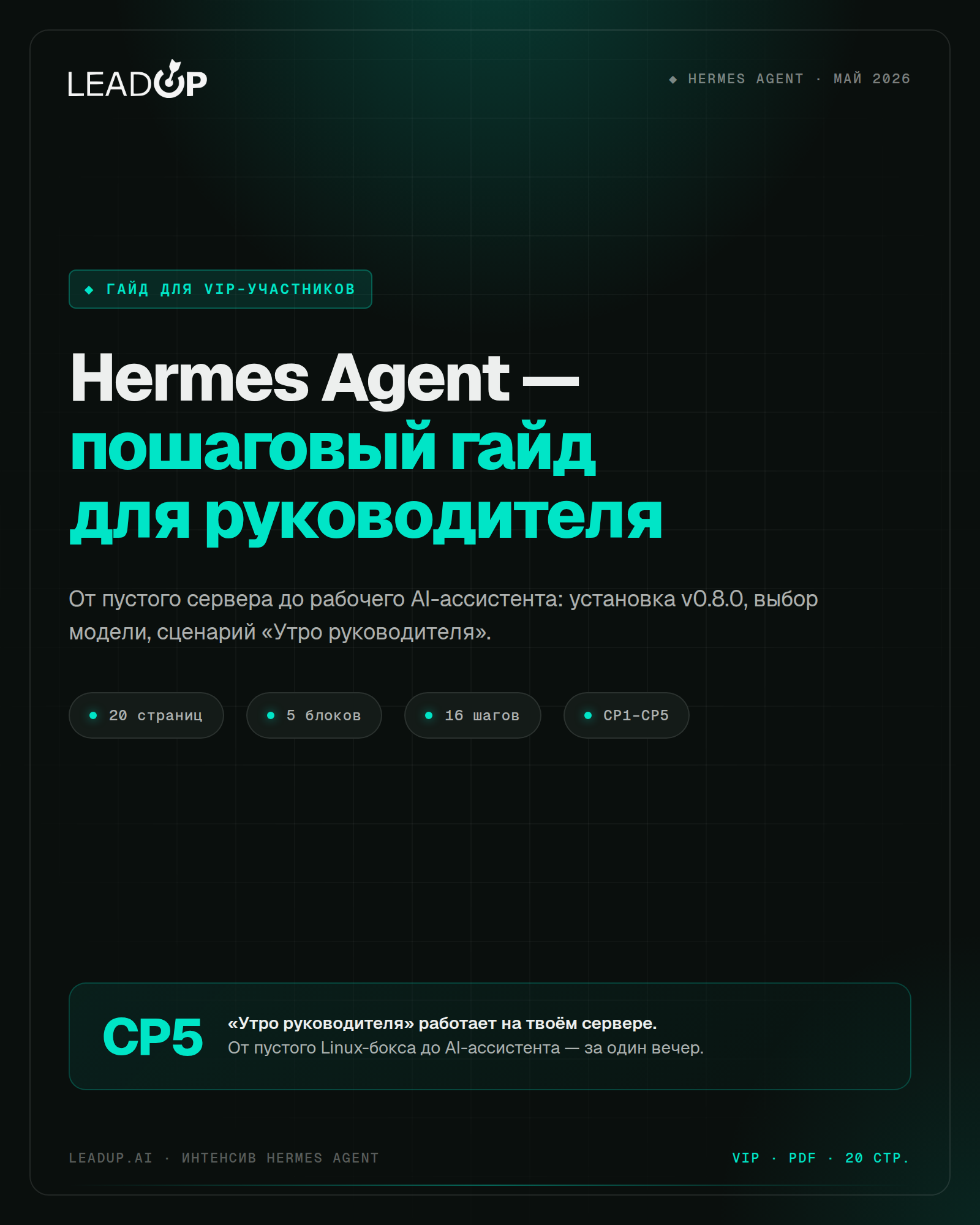 Hermes Agent — пошаговый гайд для руководителя · VIP-тариф · LeadUp AI